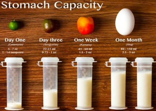 How Much Milk does Baby Need? – Newborn Stomach Capacity by Age